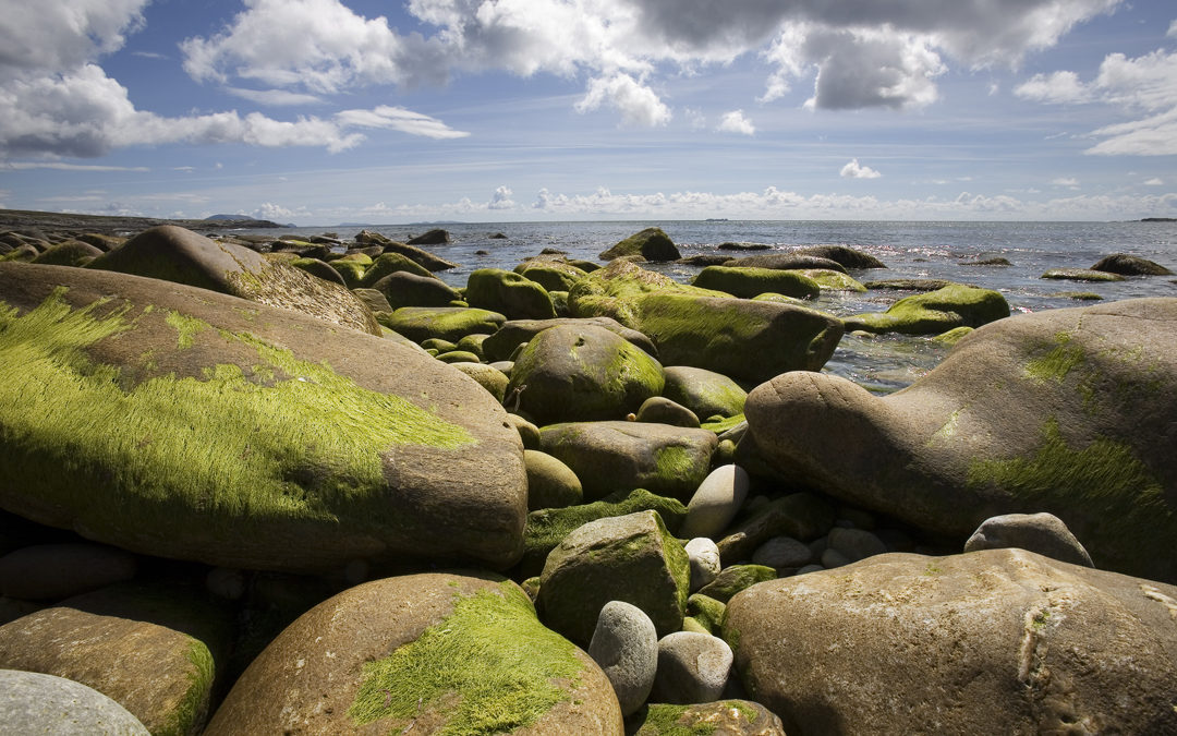 Steine am Strand auf Achill Island