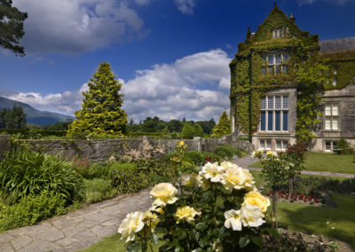Das "Muckross House" ist bekannt für seine Gärten