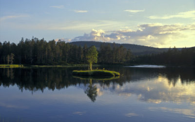 Finnlands blaue Seen