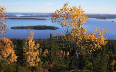 Autorundreise “Die Seen Finnlands”
