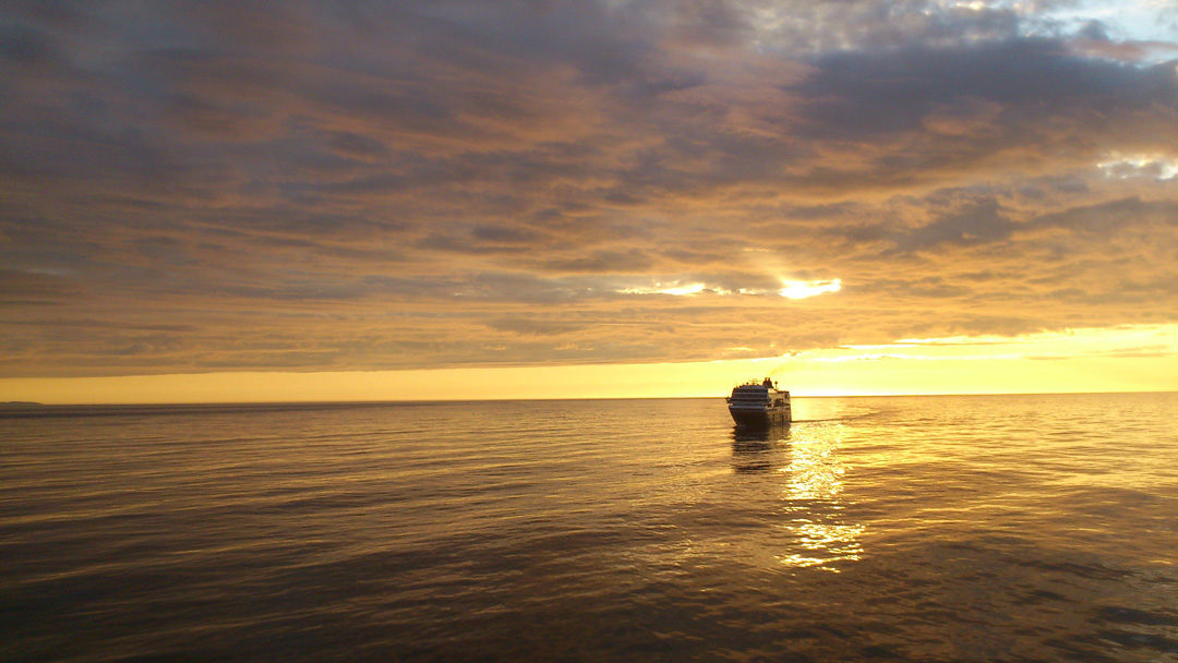 MS Trollfjord in einer Mittsommernacht