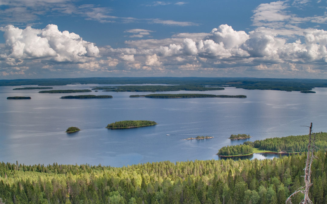 Koli Nationalpark in Finnland