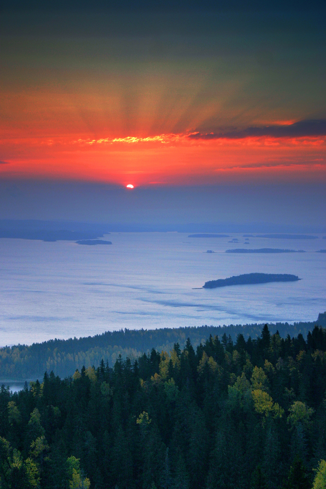 Koli Nationalpark, Finnland - MaVoya Individualreisen