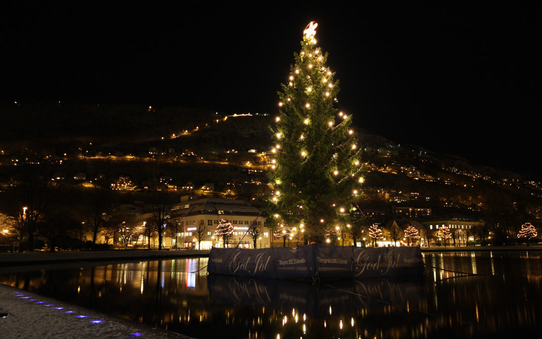 Weihnachtsbaum in Bergen