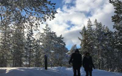 Exclusiv Reise nach Finnland: Winterspaziergang