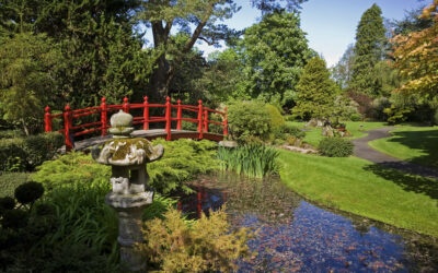 Japanischer Garten, Irland