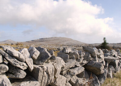 Steinmauer im County Offaly