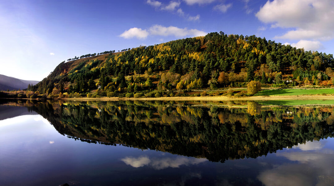 Herbststimmung im County Wicklow an Irlands Ostküste