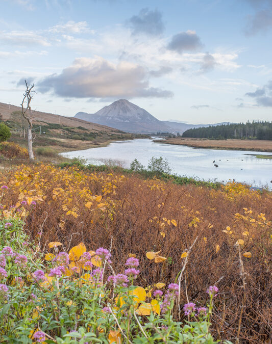 Busreisen Irland Mount Errigal Northern Headlands Donegal