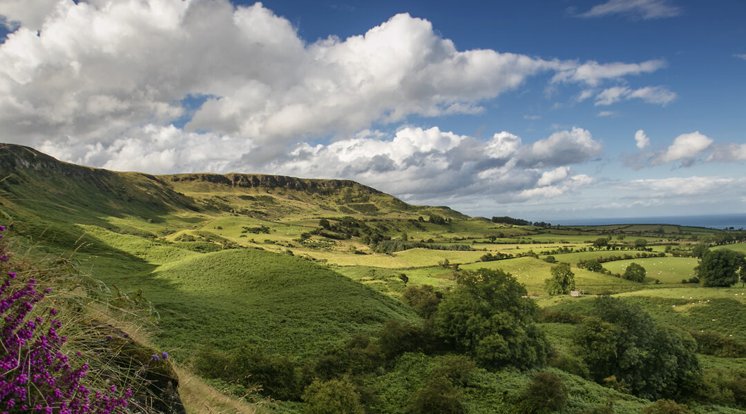 Sallagh Braes The Riverlands